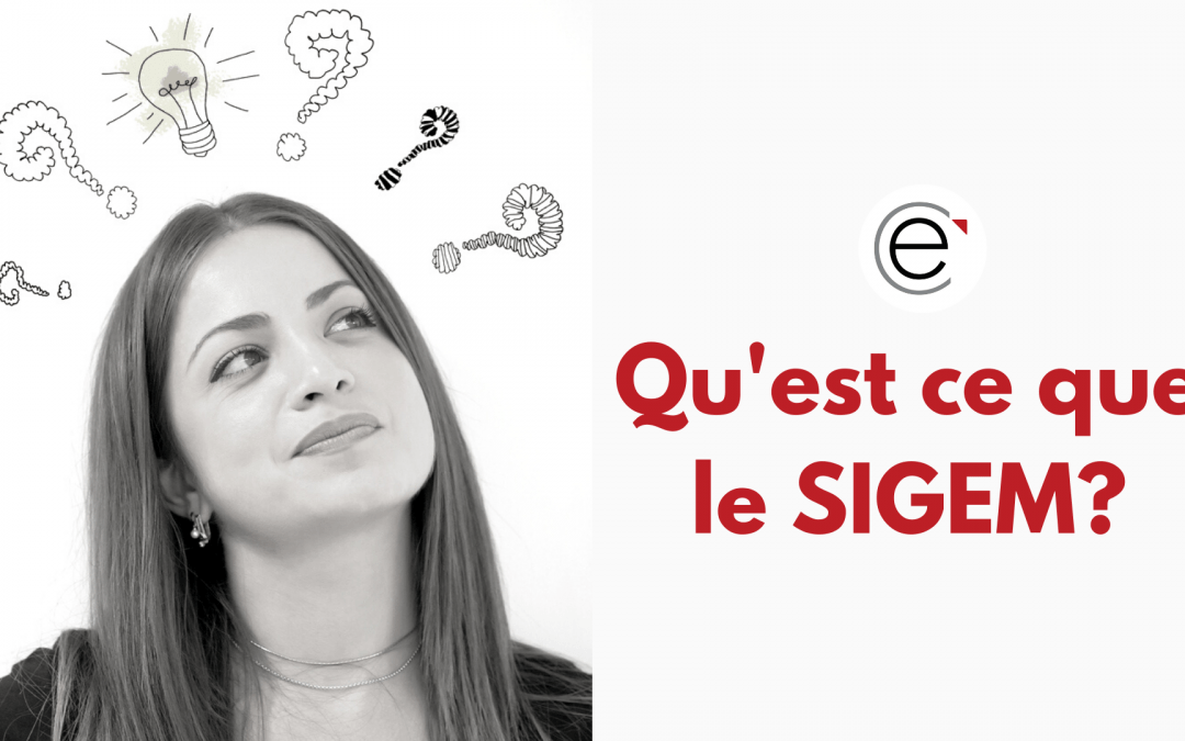 Le SIGEM : qu’est-ce que c’est ?